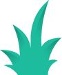 Alternative Bush 2